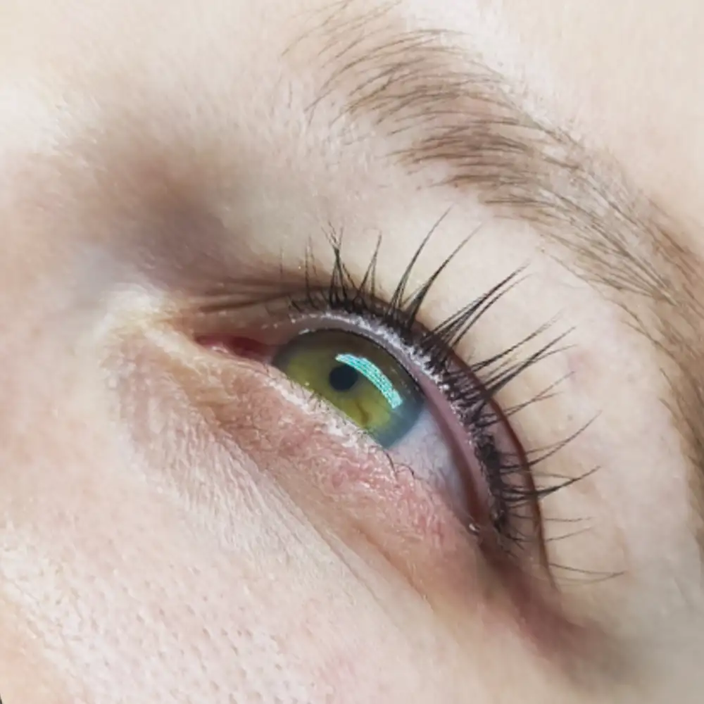 Po ošetrení: Luxusný pohľad - trvalá mihalníc + farbenie a botox (LashLift) – Klientka, 31 r. — silný lifting mihalníc (2. pohľad)